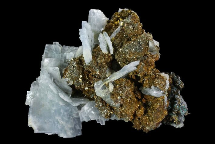 Blue Bladed Barite and Chalcopyrite Association - Morocco #91426
